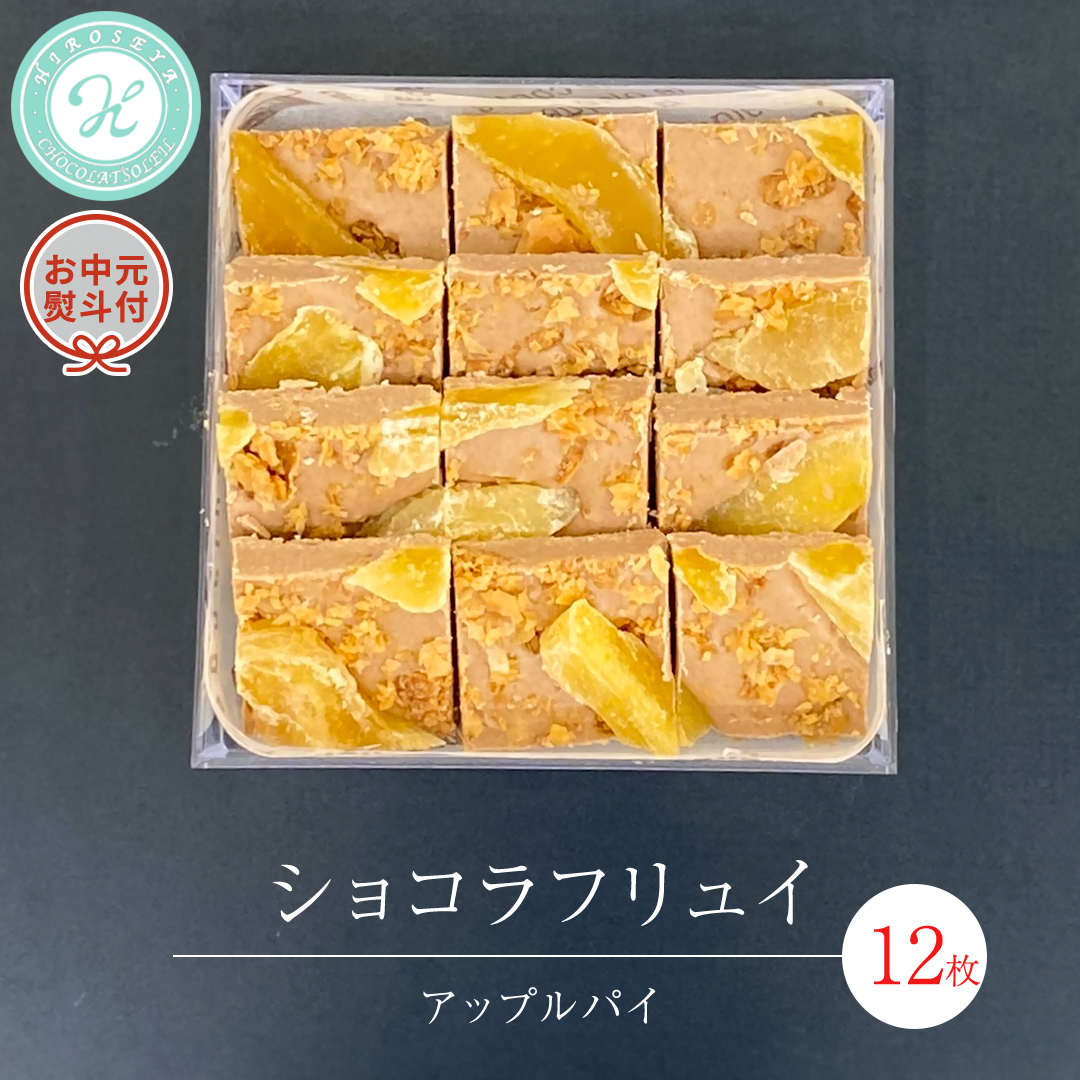 【 お中元 熨斗 付】 ショコラフリュイ アップルパイ 12枚 チョコレート チョコ スイーツ デザート 高級 ギフト 贈り物 お礼 プレゼント 手土産 お菓子 [DJ53-NT]