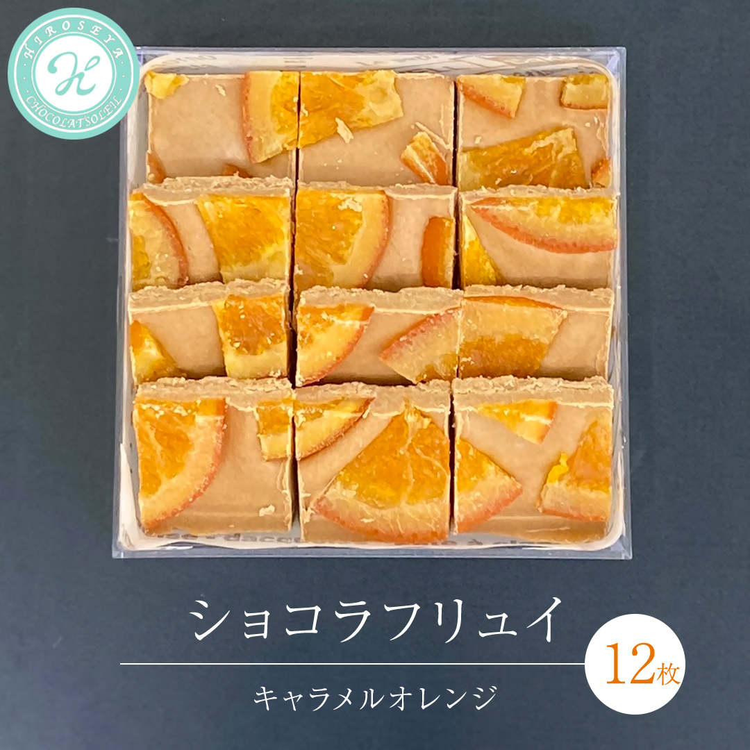 ショコラフリュイ キャラメルオレンジ 12枚 チョコレート チョコ スイーツ デザート 高級 ギフト 贈り物 お礼 プレゼント 手土産 お菓子 [DJ58-NT]