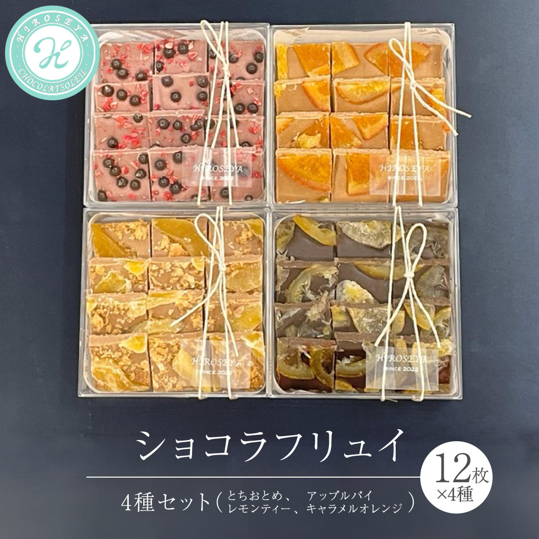 ショコラ フリュイ 4種セット（ とちおとめ 、 アップルパイ 、 レモンティー 、 キャラメル オレンジ ） チョコレート チョコ スイーツ デザート 高級 ギフト 贈り物 お礼 プレゼント 手土産 お菓子 [DJ61-NT]