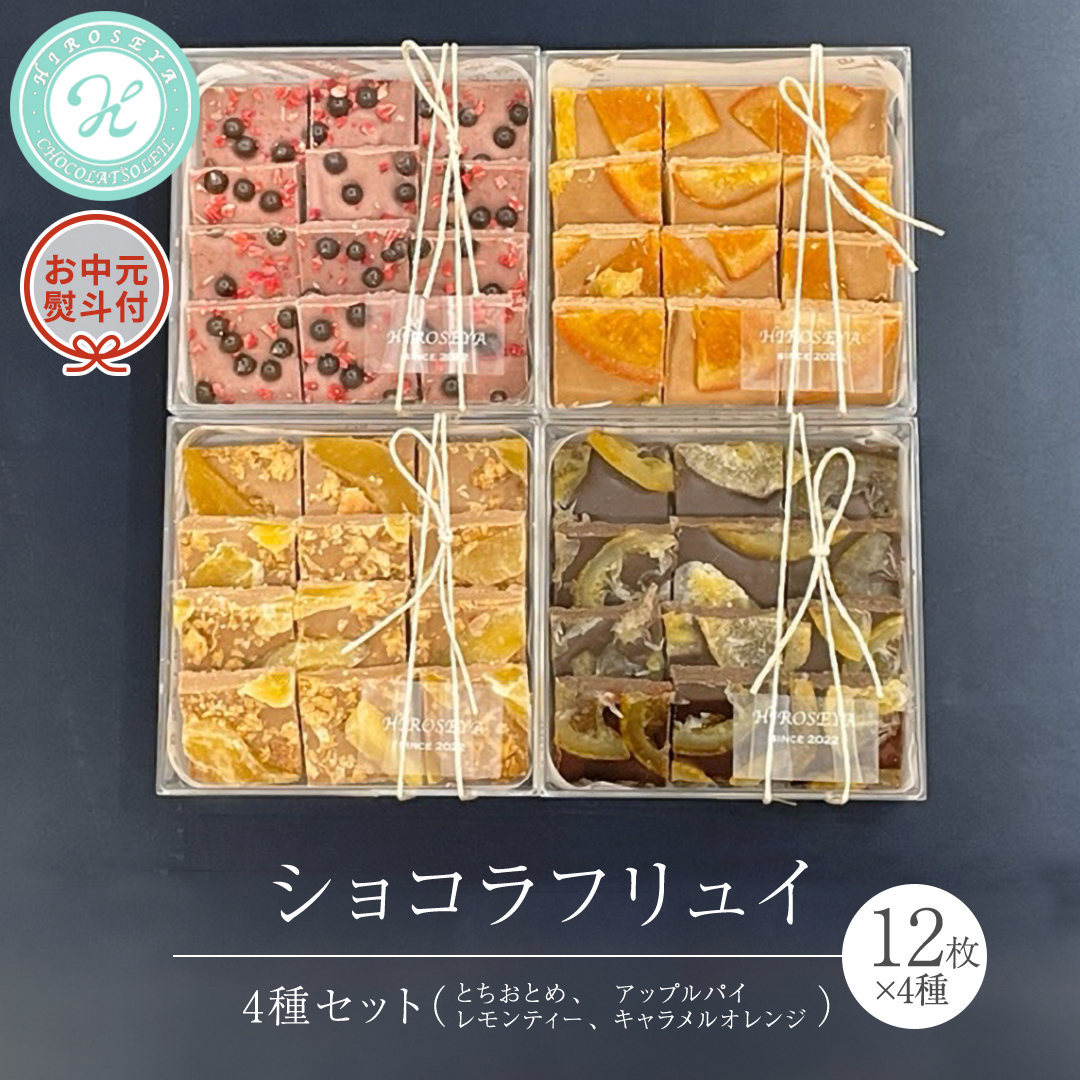 【 お中元 熨斗 付】 ショコラ フリュイ 4種セット（ とちおとめ 、 アップルパイ 、 レモンティー 、 キャラメル オレンジ ） チョコレート チョコ スイーツ デザート 高級 ギフト 贈り物 お礼 プレゼント 手土産 お菓子 [DJ62-NT]
