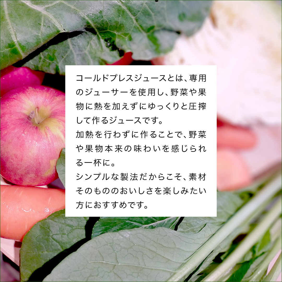 【3か月連続定期便】野菜メインの コールドプレスジュース VITALITY GREEN 200ml × 3本セット 酵素ドリンク ライフスタイル 健康 美容 野菜 果物 新鮮 SDGs ジュース 冷凍 [DZ18-NT]