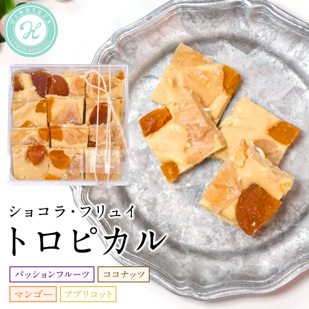 ショコラフリュイ トロピカル チョコレート チョコ スイーツ デザート 高級 ギフト 贈り物 お礼 プレゼント 手土産 お菓子 [DJ28-NT]