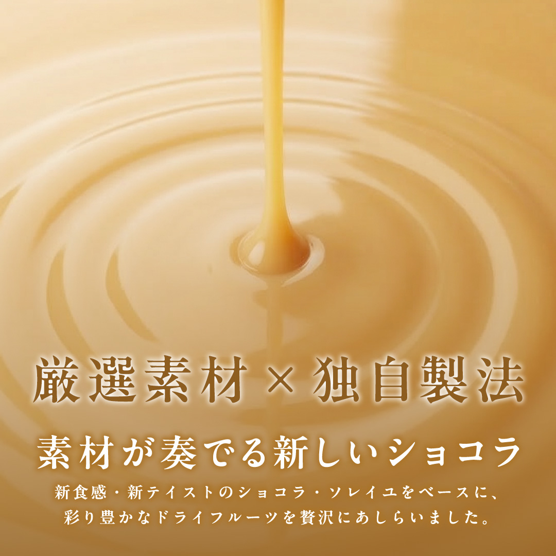 ショコラフリュイ トロピカル チョコレート チョコ スイーツ デザート 高級 ギフト 贈り物 お礼 プレゼント 手土産 お菓子 [DJ28-NT]