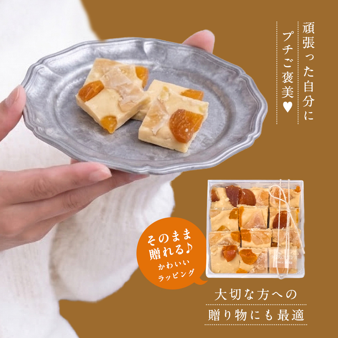 ショコラフリュイ トロピカル チョコレート チョコ スイーツ デザート 高級 ギフト 贈り物 お礼 プレゼント 手土産 お菓子 [DJ28-NT]