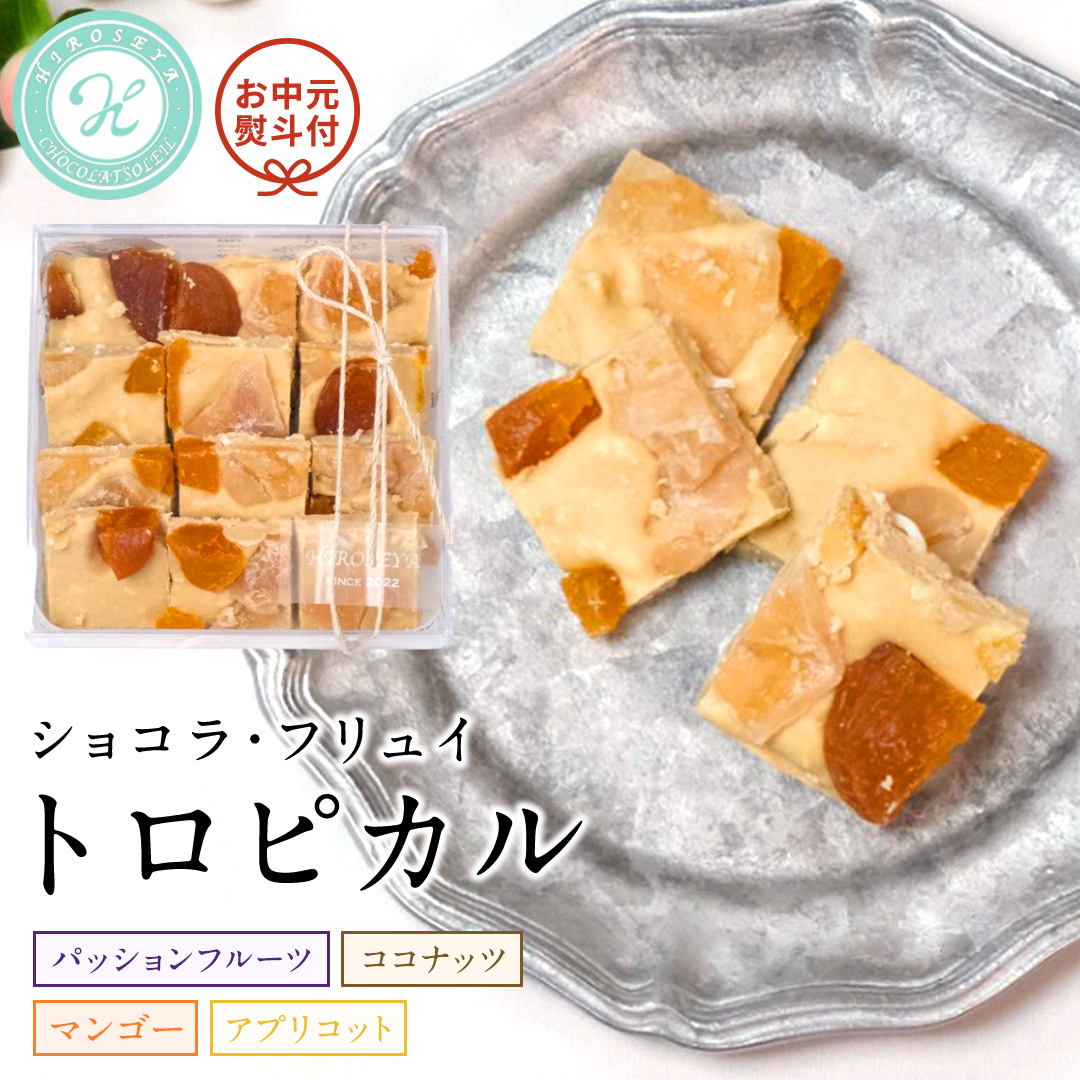 【お中元熨斗付】 ショコラフリュイ トロピカル チョコレート チョコ スイーツ デザート 高級 ギフト 贈り物 お礼 プレゼント 手土産 お菓子 [DJ29-NT]