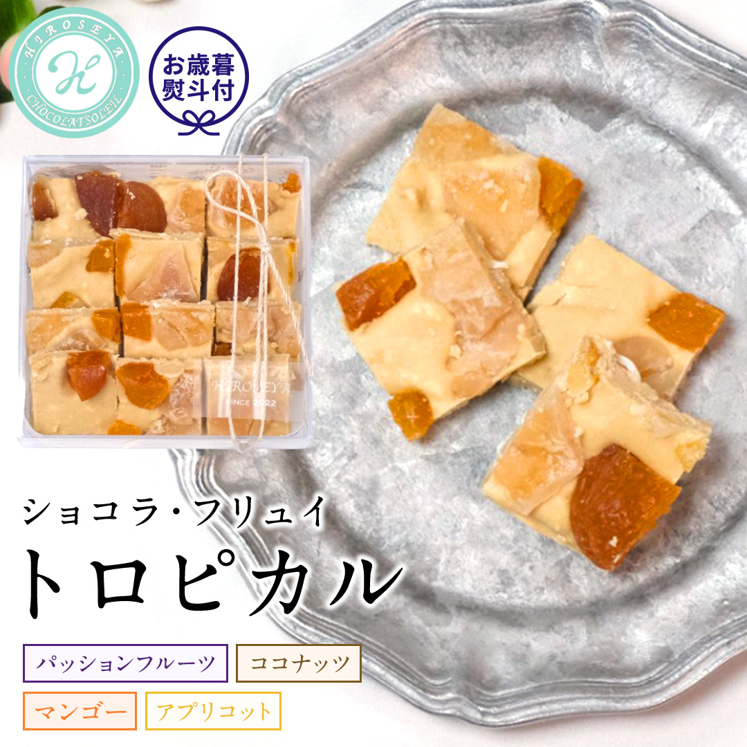 【お歳暮熨斗付】 ショコラフリュイ トロピカル チョコレート チョコ スイーツ デザート 高級 ギフト 贈り物 お礼 プレゼント 手土産 お菓子 [DJ30-NT]