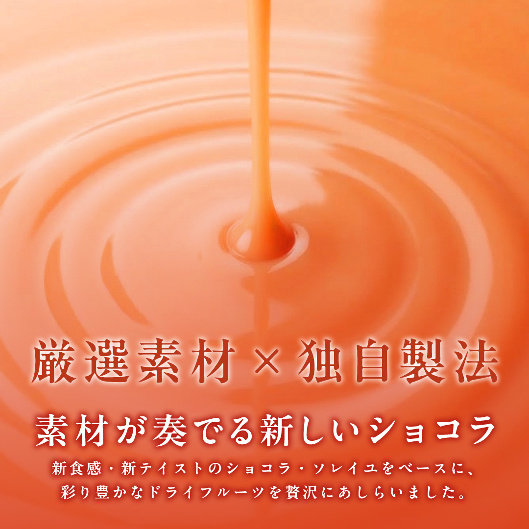 ショコラフリュイ オレンジ チョコレート チョコ スイーツ デザート 高級 ギフト 贈り物 お礼 プレゼント 手土産 お菓子 [DJ37-NT]