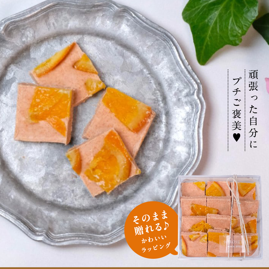 【お中元熨斗付】 ショコラフリュイ オレンジ チョコレート チョコ スイーツ デザート 高級 ギフト 贈り物 お礼 プレゼント 手土産 お菓子 [DJ38-NT]