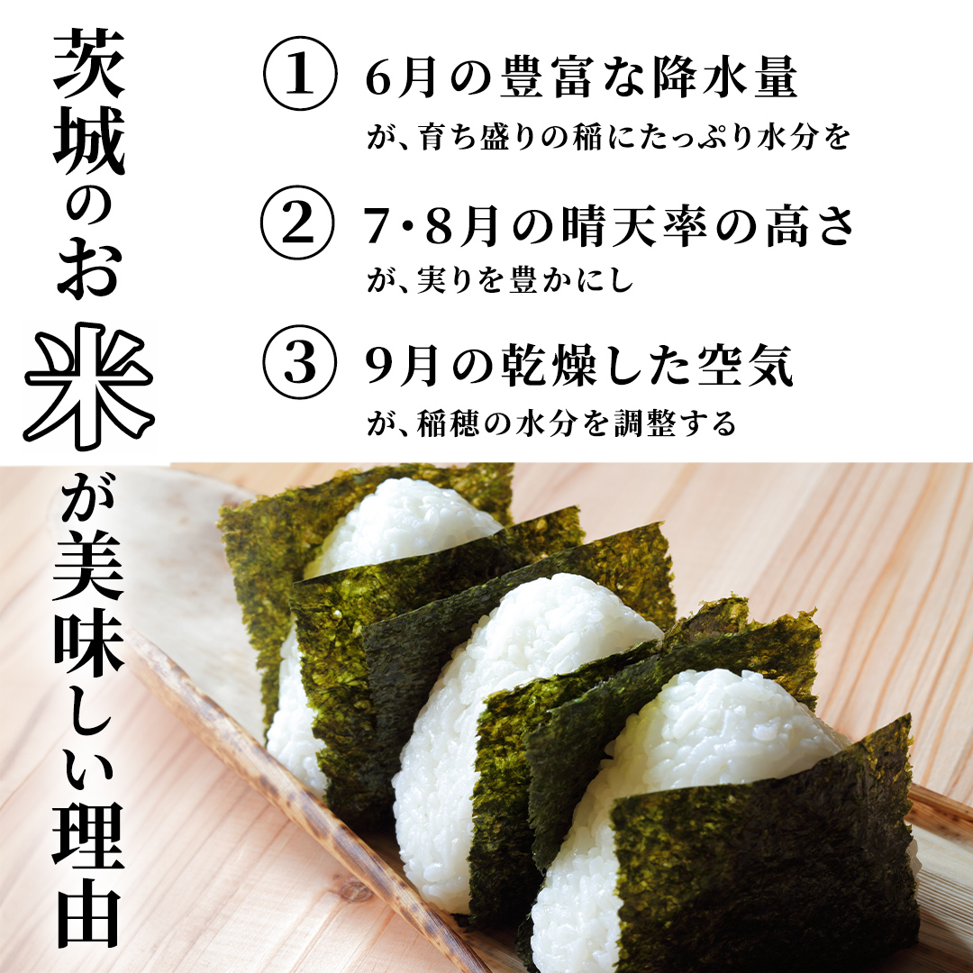 【7月上期出荷】品種おまかせ 10kg 茨城県つくばみらい市産 精米 こしひかり コシヒカリ あきたこまち ひとめぼれ ふくまる ゆめひたち ミルキークイーン にじのきらめき  米 コメ こめ 単一米 限定 茨城県産 国産 美味しい お米 おこめ おコメ [CL332-NT]