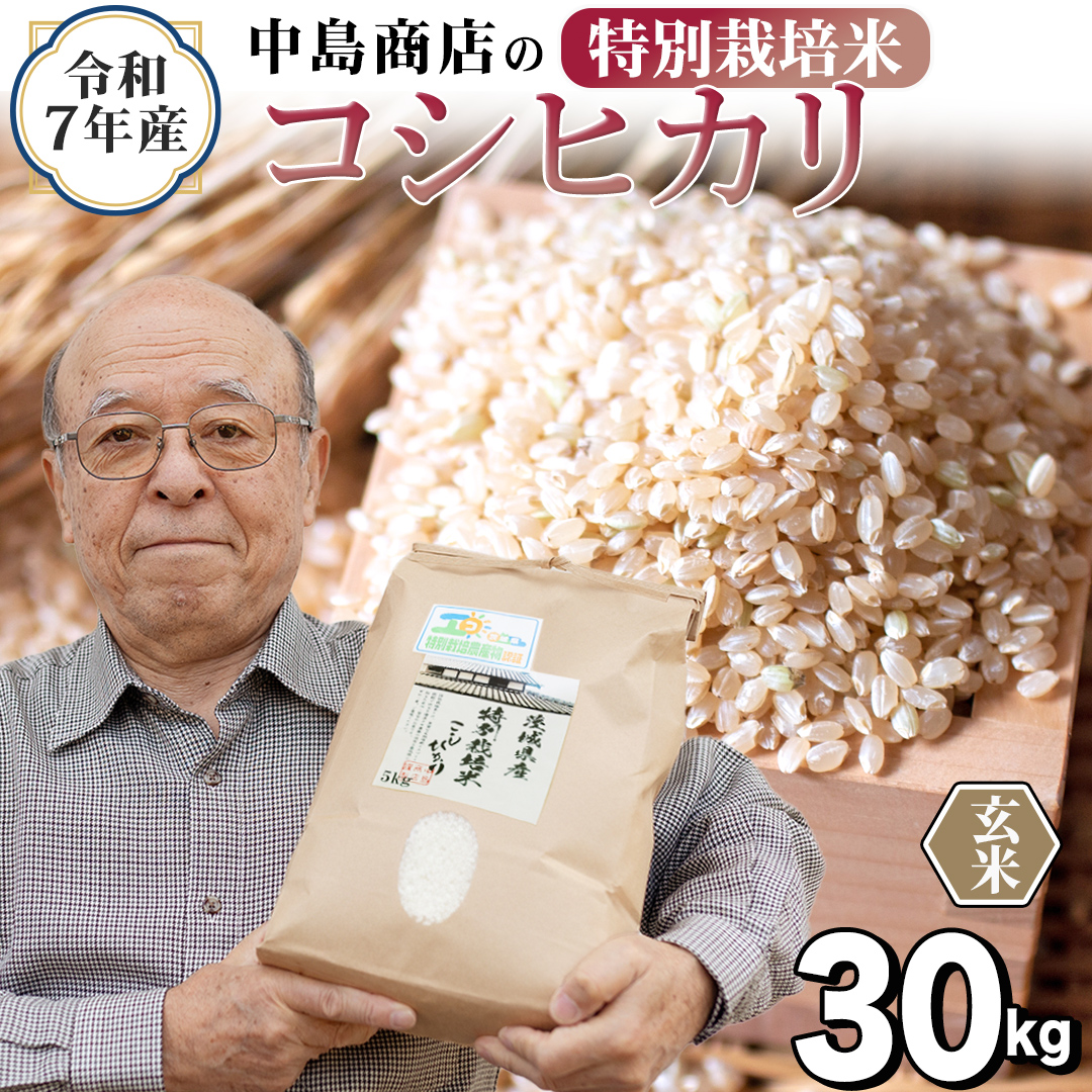 令和7年産 茨城県産 玄米 特別栽培米 コシヒカリ 30kg （30kg×1袋） こしひかり 米 コメ こめ 単一米 限定 茨城県産 国産 美味しい お米 おこめ おコメ 【EH37-NT】