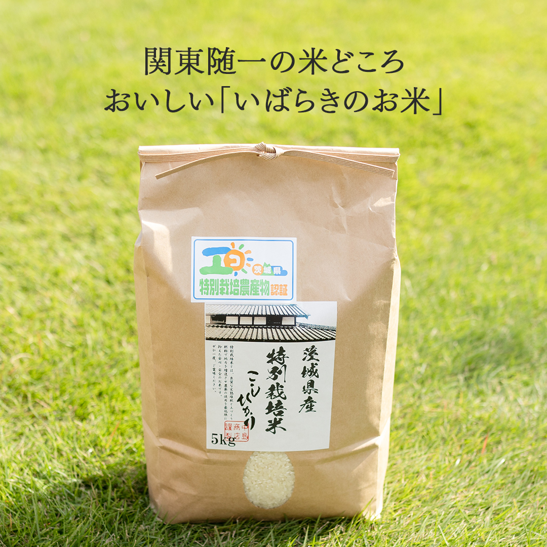 令和7年産 茨城県産 玄米 特別栽培米 コシヒカリ 30kg （30kg×1袋） こしひかり 米 コメ こめ 単一米 限定 茨城県産 国産 美味しい お米 おこめ おコメ 【EH37-NT】