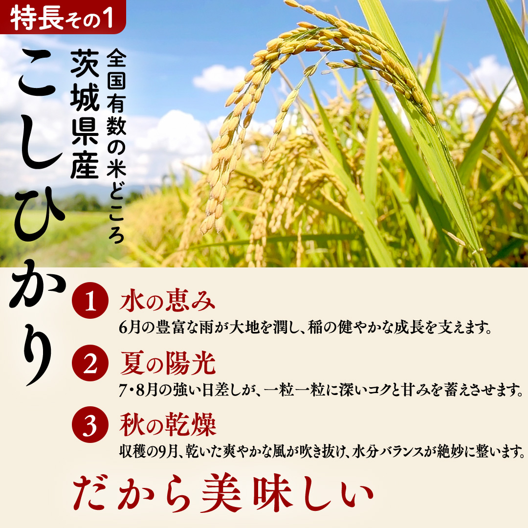 数量限定！【 金芽米 】 ＜6月下期出荷＞ つくばみらい市産 コシヒカリ 5kg × 2袋 ( 計 10kg ) 金芽米 きんめまい 米 お米 無洗米 茨城県 カロリーオフ 低カロリー 東洋ライス 節水 時短 アウトドア キャンプ [EK15-NT]