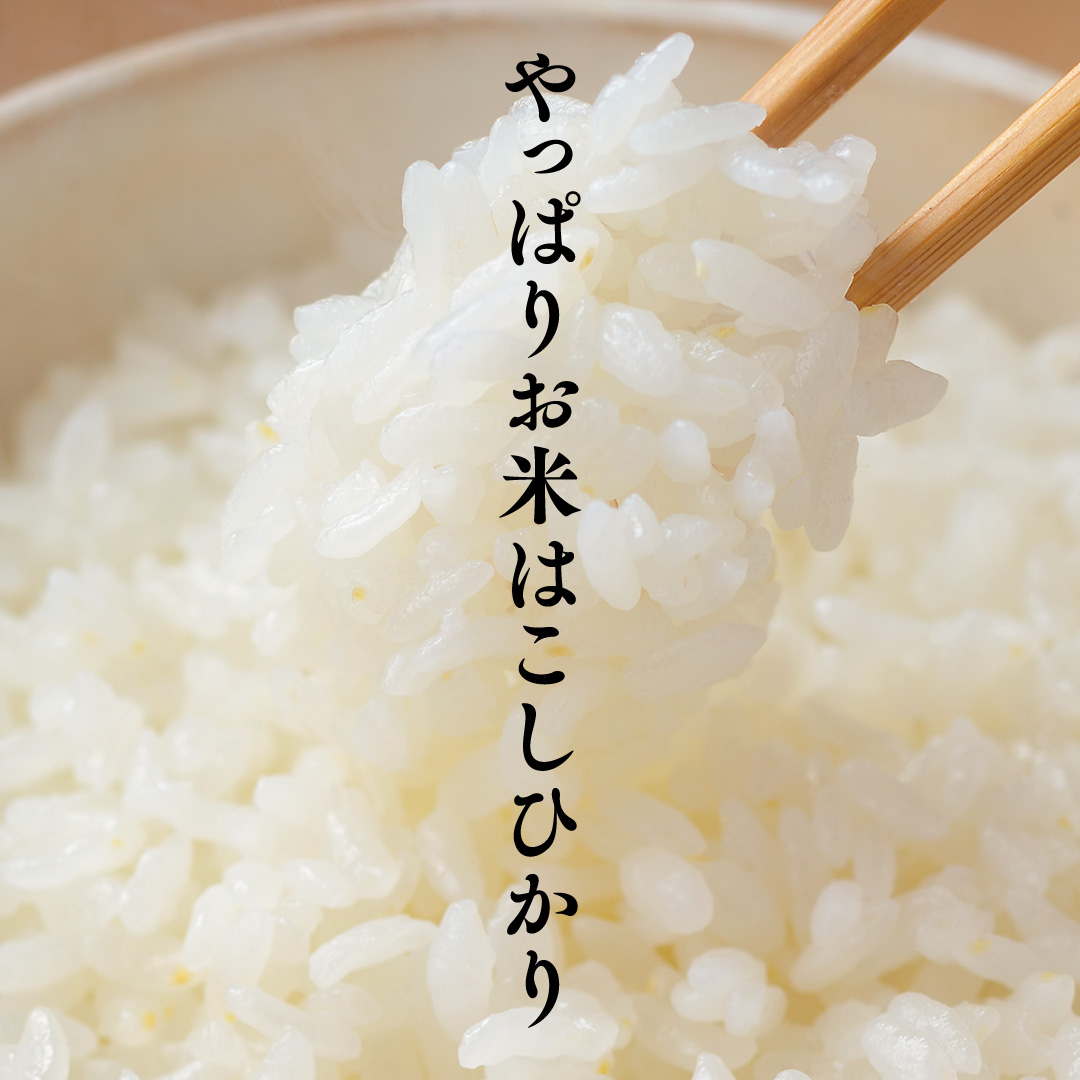 数量限定！【 金芽米 】 ＜6月下期出荷＞ つくばみらい市産 コシヒカリ 5kg × 2袋 ( 計 10kg ) 金芽米 きんめまい 米 お米 無洗米 茨城県 カロリーオフ 低カロリー 東洋ライス 節水 時短 アウトドア キャンプ [EK15-NT]