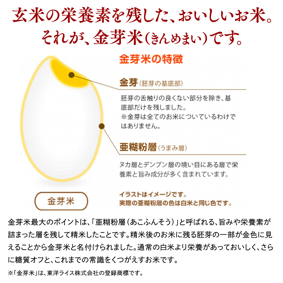 数量限定！【 金芽米 】 ＜7月下期出荷＞ つくばみらい市産 コシヒカリ 5kg × 2袋 ( 計 10kg ) 金芽米 きんめまい 米 お米 無洗米 茨城県 カロリーオフ 低カロリー 東洋ライス 節水 時短 アウトドア キャンプ [EK16-NT]