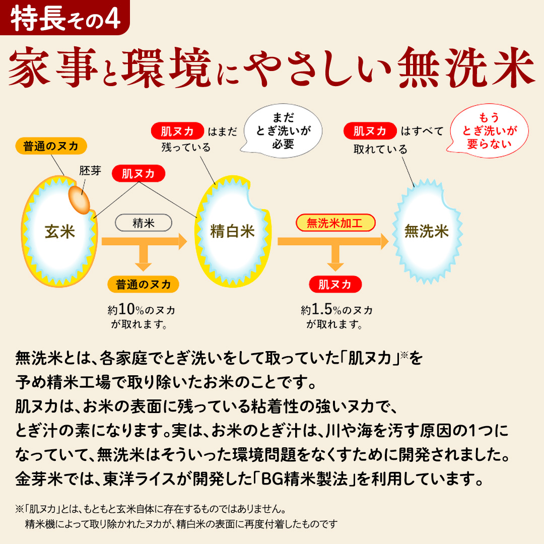 数量限定！【 金芽米 】 ＜7月下期出荷＞ つくばみらい市産 コシヒカリ 5kg × 2袋 ( 計 10kg ) 金芽米 きんめまい 米 お米 無洗米 茨城県 カロリーオフ 低カロリー 東洋ライス 節水 時短 アウトドア キャンプ [EK16-NT]