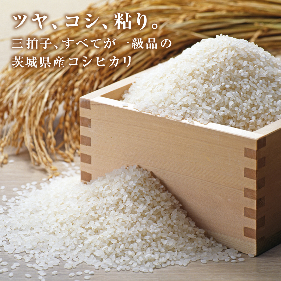 【 2026年6月発送開始 3ヶ月連続定期便 】令和7年産 ＜ 精米 ＞ こしひかり 10kg（5kg×2本） 精米 定期便 茨城県 国産 お米 米 コメ 白米 ライス ご飯 おいしい コシヒカリ ごはん 新生活 プレゼント 新生活応援 必要なもの 便利 おすすめ 消耗品 一人暮らし 二人暮らし 必要 [DA04-NT]