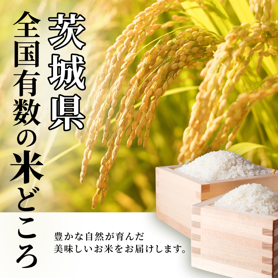 【 定期便（5～7月出荷）】 コシヒカリ 15kg ×3回 令和7年産精米 【 数量限定 】茨城県つくばみらい市産 米 コメ 単一米 茨城県産 国産 発送 コスパ こしひかり [CL351-NT]