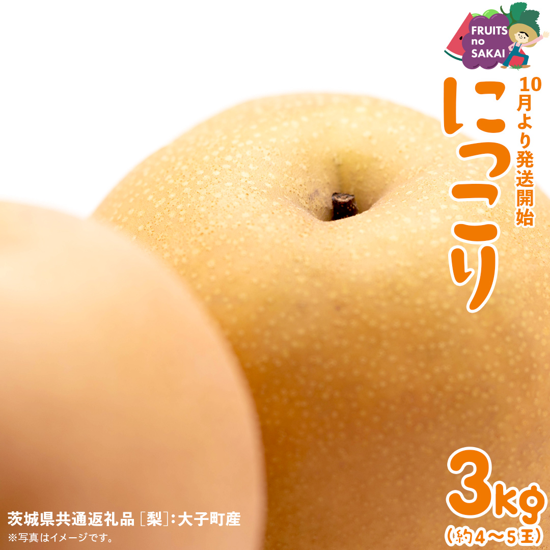 にっこり 梨 3kg （4～5玉）【2026年10月より発送開始】（茨城県共通返礼品 [梨]：大子町産） なし 旬 お取り寄せ フルーツ 甘い ジューシー 和梨 時期 [FC14-NT]