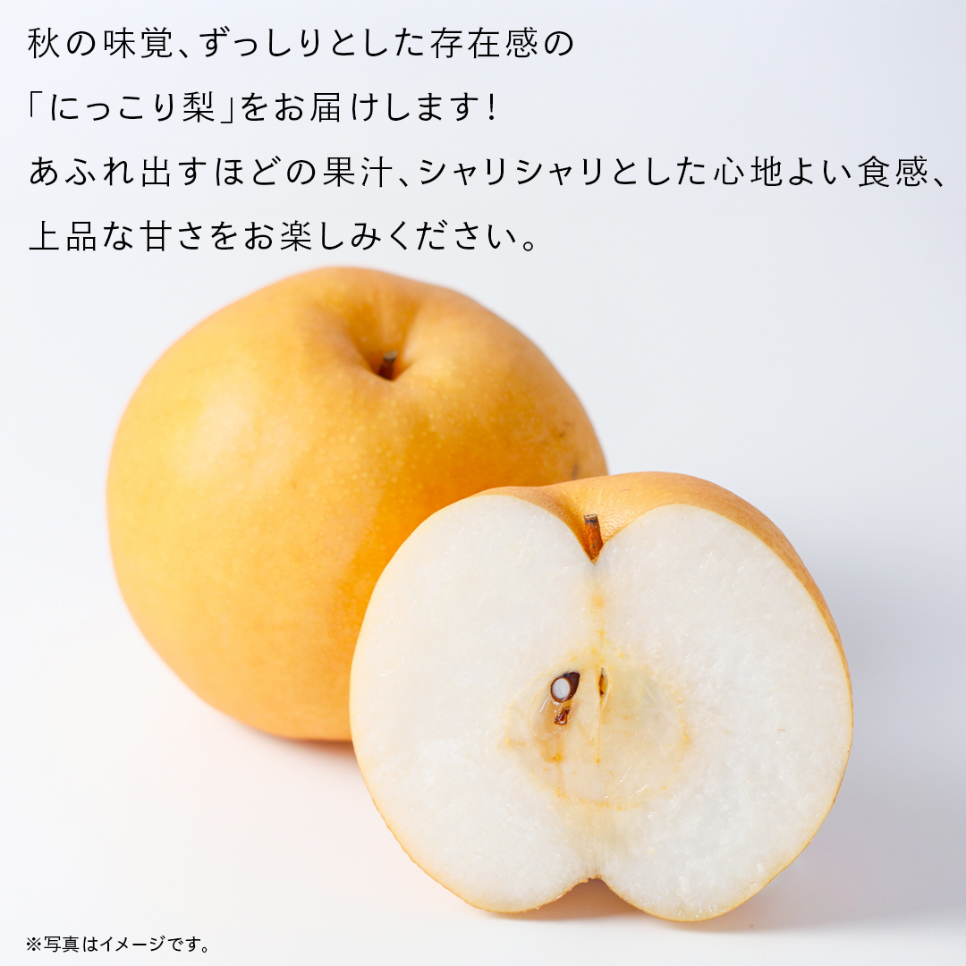 にっこり 梨 3kg （4～5玉）【2026年10月より発送開始】（茨城県共通返礼品 [梨]：大子町産） なし 旬 お取り寄せ フルーツ 甘い ジューシー 和梨 時期 [FC14-NT]