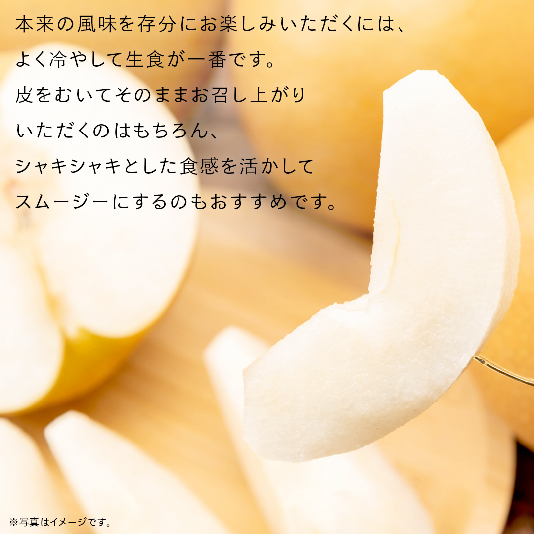 にっこり 梨 3kg （4～5玉）【2026年10月より発送開始】（茨城県共通返礼品 [梨]：大子町産） なし 旬 お取り寄せ フルーツ 甘い ジューシー 和梨 時期 [FC14-NT]