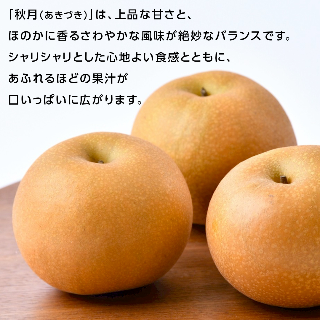 あきづき 梨 3kg （6～8玉）【2026年10月より発送開始】（茨城県共通返礼品 [梨]：大子町産） なし 旬 お取り寄せ フルーツ 甘い ジューシー 和梨 時期 秋月 [FC13-NT]