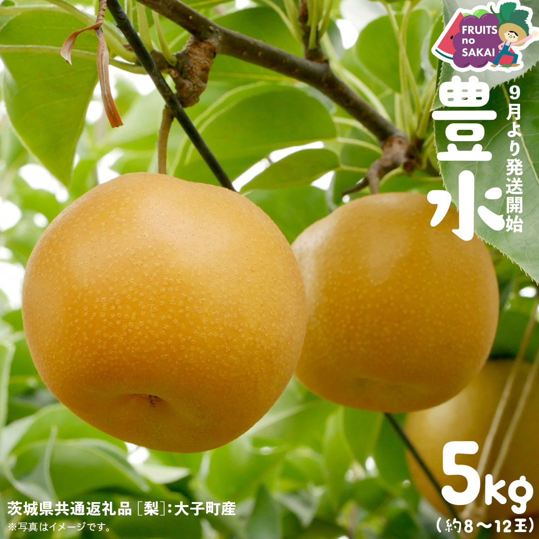 豊水 梨 5kg （8〜12玉）【2026年9月より発送開始】（茨城県共通返礼品 [梨]：大子町産） なし 旬 お取り寄せ フルーツ 甘い ジューシー 和梨 時期 [FC05-NT]