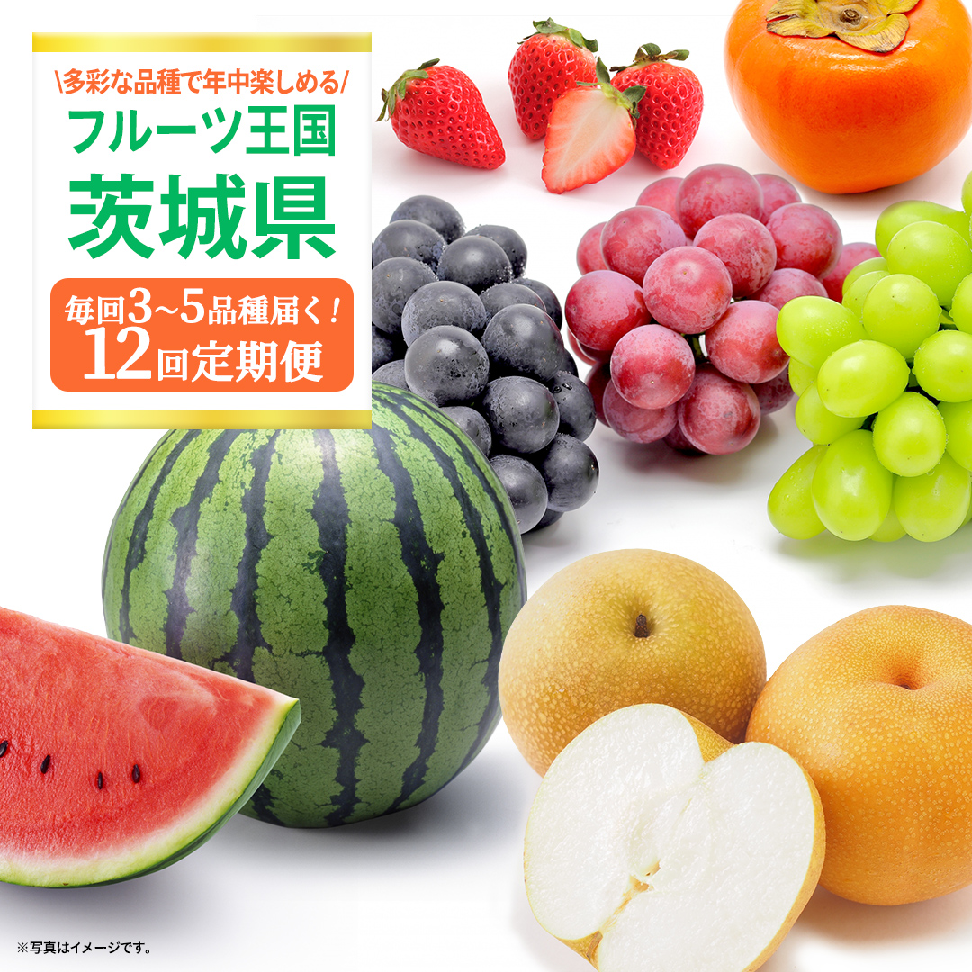 【定期便】フルーツセット（12回定期）（茨城県共通返礼品） 茨城県 県産 つくばみらい市 人気 厳選 果物 くだもの 旬 旬の果物 旬のフルーツ 上級品 極上 贅沢 極み フルーツ フルーツセット ギフト プレゼント