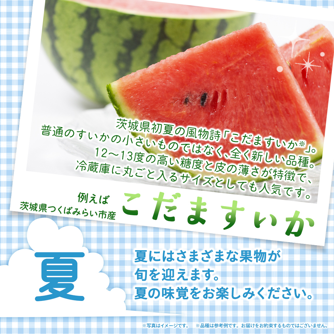 【定期便】フルーツセット（12回定期）（茨城県共通返礼品） 茨城県 県産 つくばみらい市 人気 厳選 果物 くだもの 旬 旬の果物 旬のフルーツ 上級品 極上 贅沢 極み フルーツ フルーツセット ギフト プレゼント