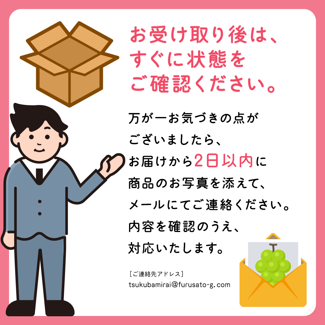 【定期便】フルーツセット（12回定期）（茨城県共通返礼品） 茨城県 県産 つくばみらい市 人気 厳選 果物 くだもの 旬 旬の果物 旬のフルーツ 上級品 極上 贅沢 極み フルーツ フルーツセット ギフト プレゼント