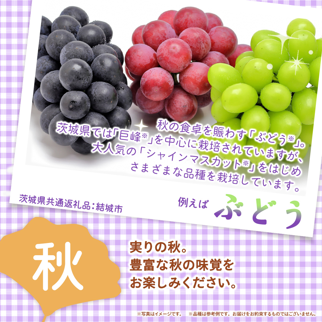 【定期便】フルーツセット（6回定期）（茨城県共通返礼品） 茨城県 県産 つくばみらい市 人気 厳選 果物 くだもの 旬 旬の果物 旬のフルーツ 上級品 極上 贅沢 極み フルーツ フルーツセット ギフト プレゼント