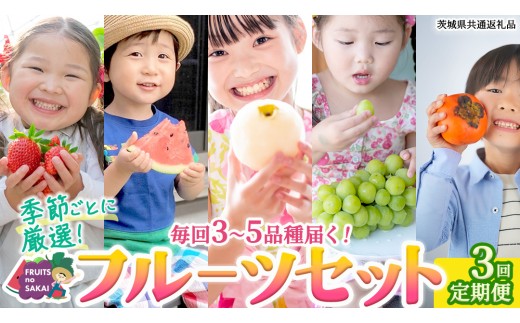 【定期便】フルーツセット（3回定期）（茨城県共通返礼品） 茨城県 県産 つくばみらい市 人気 厳選 果物 くだもの 旬 旬の果物 旬のフルーツ 上級品 極上 贅沢 極み フルーツ フルーツセット ギフト プレゼント