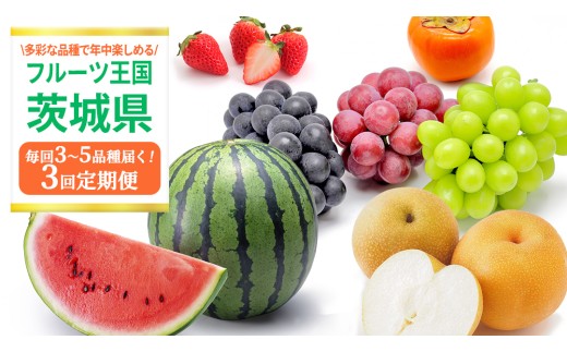 【定期便】フルーツセット（3回定期）（茨城県共通返礼品） 茨城県 県産 つくばみらい市 人気 厳選 果物 くだもの 旬 旬の果物 旬のフルーツ 上級品 極上 贅沢 極み フルーツ フルーツセット ギフト プレゼント