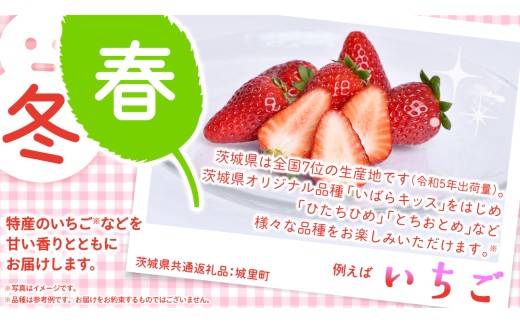 【定期便】フルーツセット（3回定期）（茨城県共通返礼品） 茨城県 県産 つくばみらい市 人気 厳選 果物 くだもの 旬 旬の果物 旬のフルーツ 上級品 極上 贅沢 極み フルーツ フルーツセット ギフト プレゼント