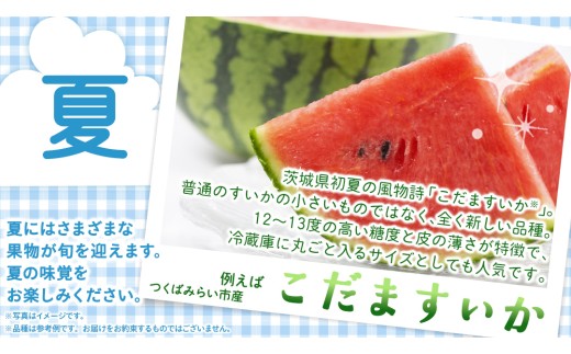 【定期便】フルーツセット（3回定期）（茨城県共通返礼品） 茨城県 県産 つくばみらい市 人気 厳選 果物 くだもの 旬 旬の果物 旬のフルーツ 上級品 極上 贅沢 極み フルーツ フルーツセット ギフト プレゼント