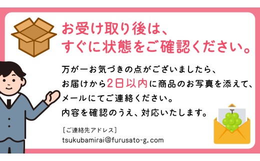 【定期便】フルーツセット（3回定期）（茨城県共通返礼品） 茨城県 県産 つくばみらい市 人気 厳選 果物 くだもの 旬 旬の果物 旬のフルーツ 上級品 極上 贅沢 極み フルーツ フルーツセット ギフト プレゼント