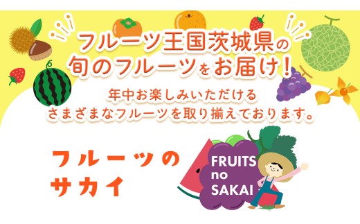 【定期便】フルーツセット（3回定期）（茨城県共通返礼品） 茨城県 県産 つくばみらい市 人気 厳選 果物 くだもの 旬 旬の果物 旬のフルーツ 上級品 極上 贅沢 極み フルーツ フルーツセット ギフト プレゼント