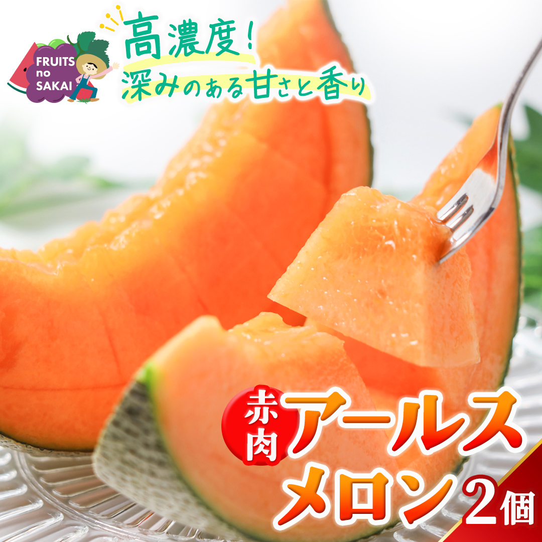 赤肉アールスメロン 2玉 アールスメロン 赤肉 高糖度 甘い フルーツ 誕生日 プレゼント ギフト 贈り物 父の日 母の日 2個 [FC31-NT]