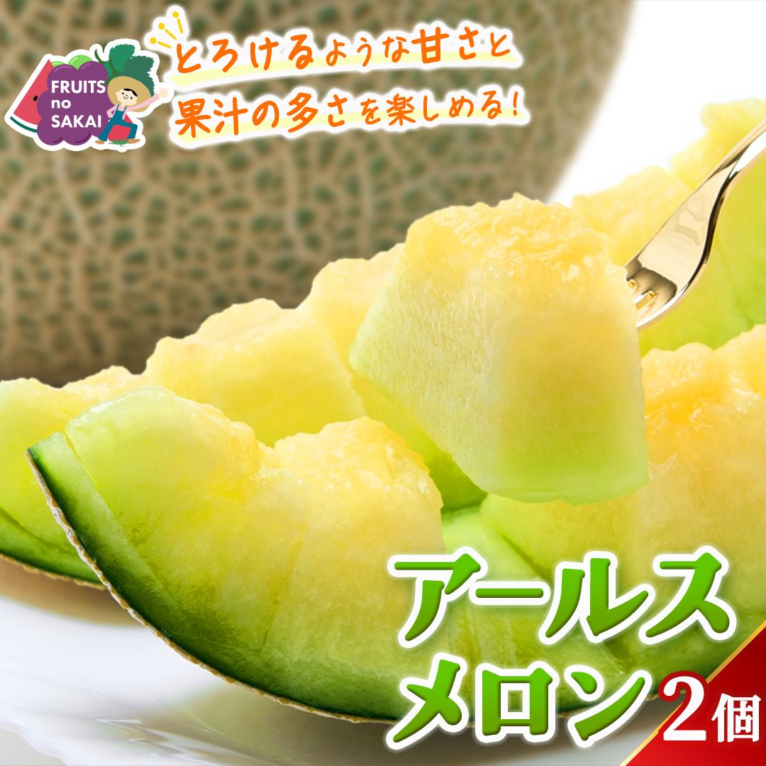 アールスメロン 2玉 メロン ギフト 高糖度 甘い 美味しい フルーツ 誕生日 プレゼント ギフト 贈り物 父の日 母の日 2個 [FC34-NT]