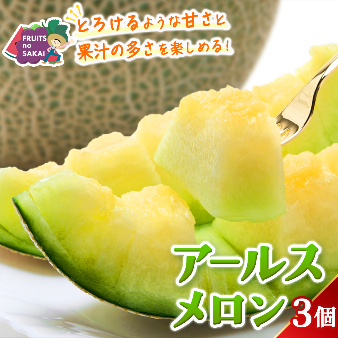 アールスメロン 3玉 メロン ギフト 高糖度 甘い 美味しい フルーツ 誕生日 プレゼント ギフト 贈り物 父の日 母の日 3個 [FC35-NT]