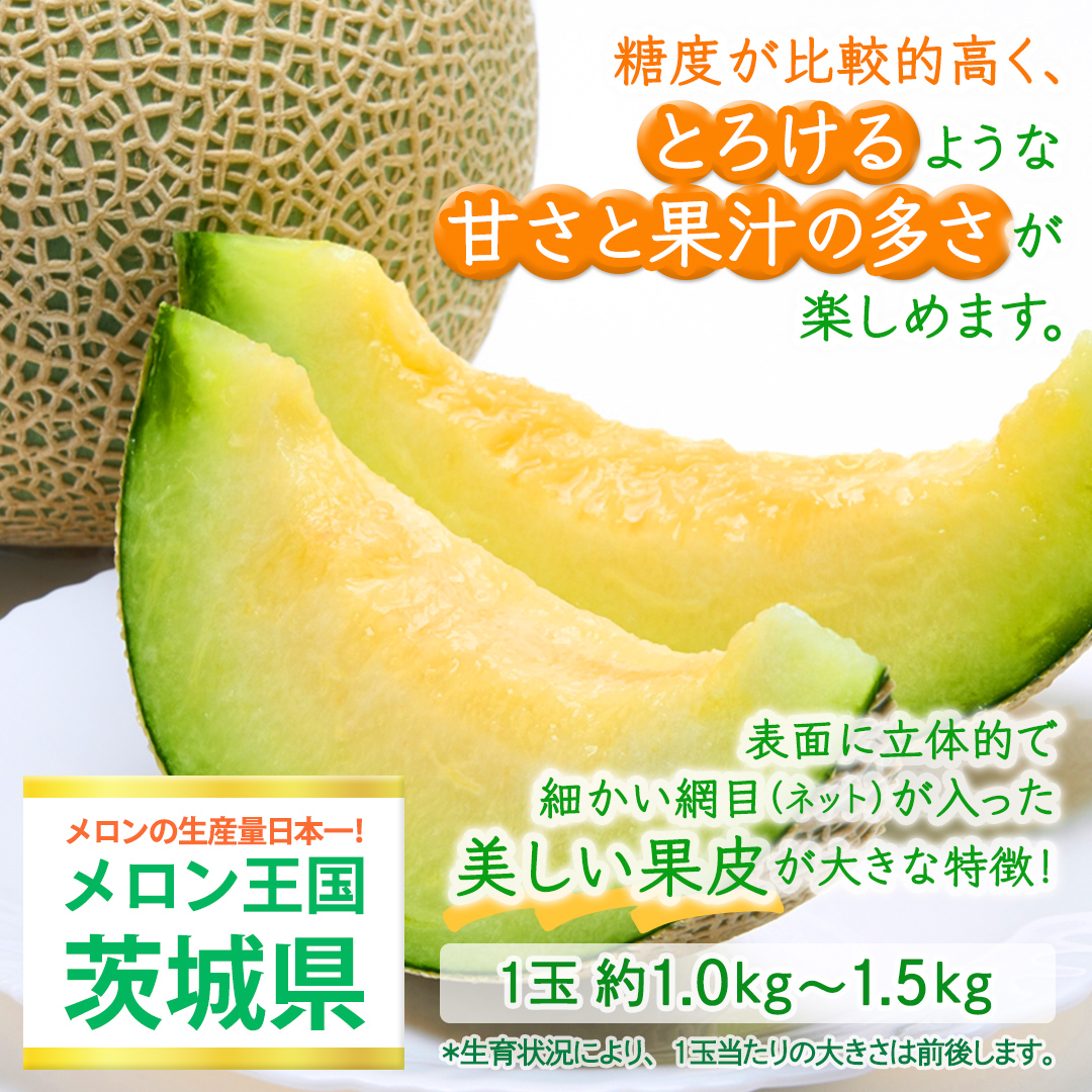 アールスメロン 3玉 メロン ギフト 高糖度 甘い 美味しい フルーツ 誕生日 プレゼント ギフト 贈り物 父の日 母の日 3個 [FC35-NT]
