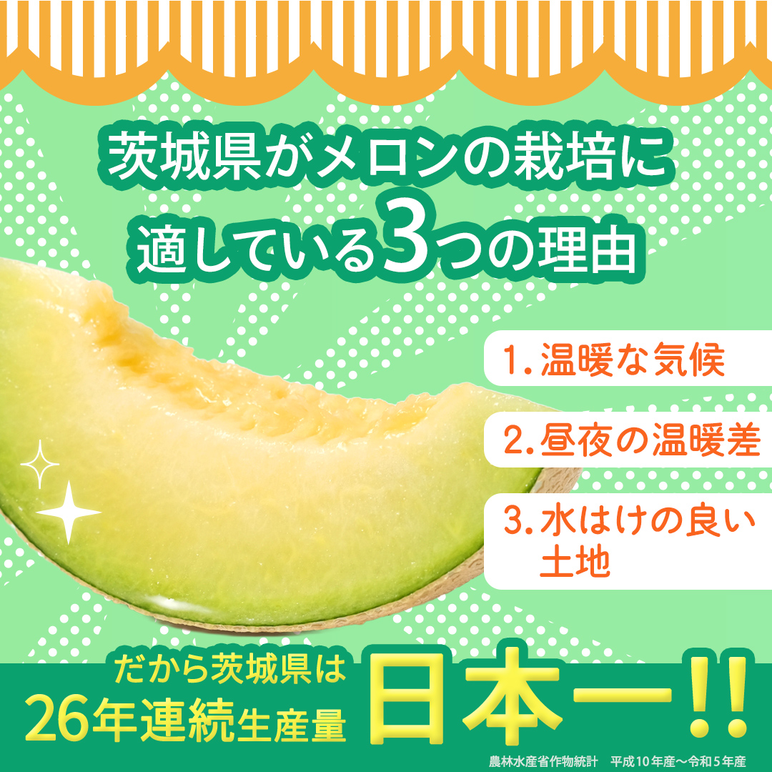 【定期便】 アールスメロン 1玉 × 3か月連続 メロン ギフト 高糖度 甘い 美味しい フルーツ 誕生日 プレゼント ギフト 贈り物 父の日 母の日 1個 [FC45-NT]