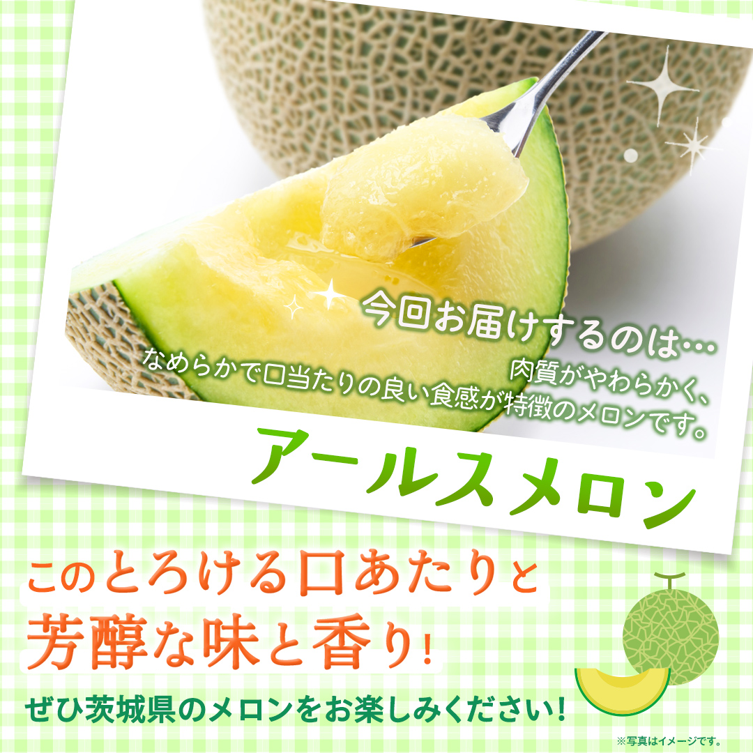【定期便】 アールスメロン 2玉 × 3か月連続 メロン ギフト 高糖度 甘い 美味しい フルーツ 誕生日 プレゼント ギフト 贈り物 父の日 母の日 2個 [FC48-NT]