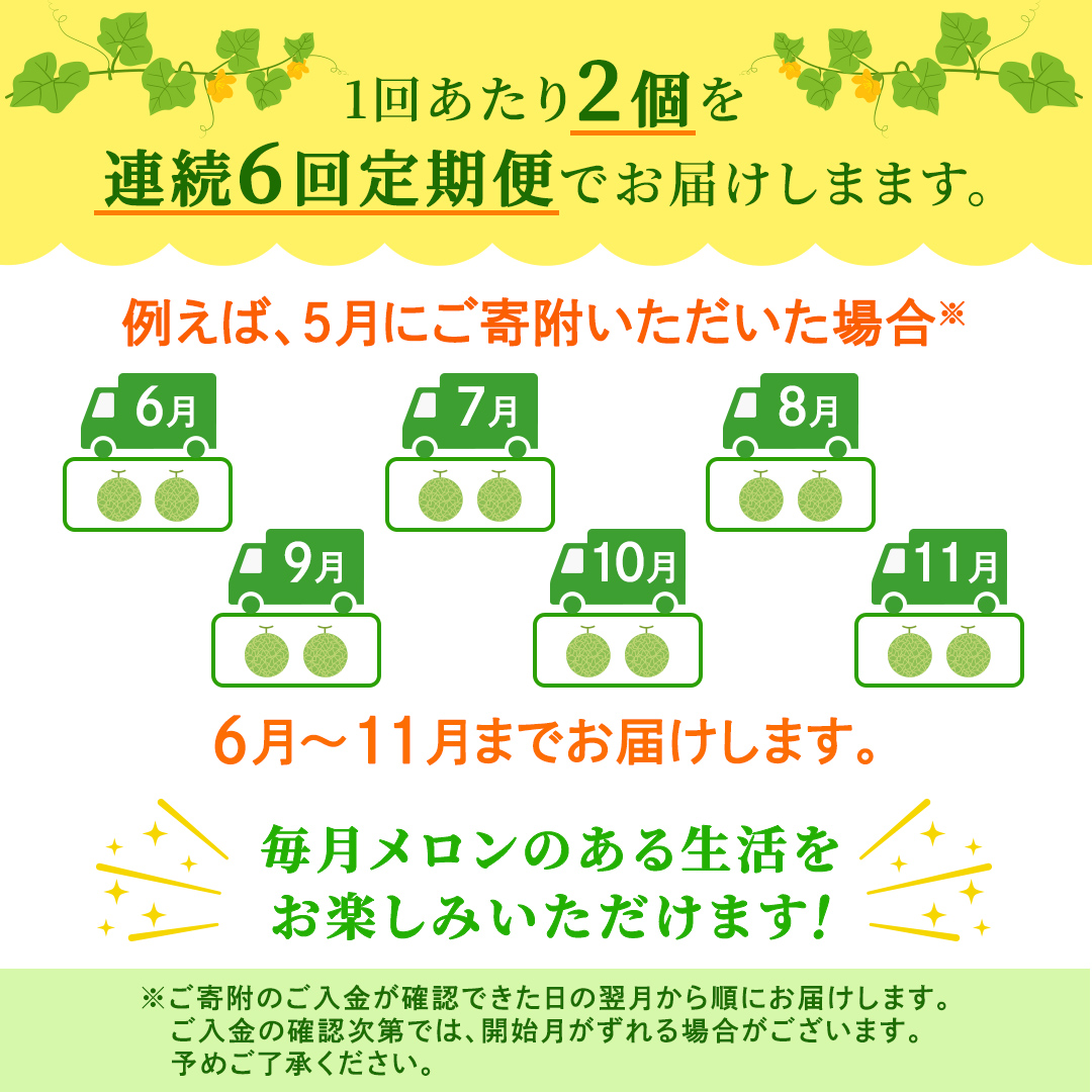【定期便】 アールスメロン 2玉 × 6か月連続 メロン ギフト 高糖度 甘い 美味しい フルーツ 誕生日 プレゼント ギフト 贈り物 父の日 母の日 2個 [FC49-NT]