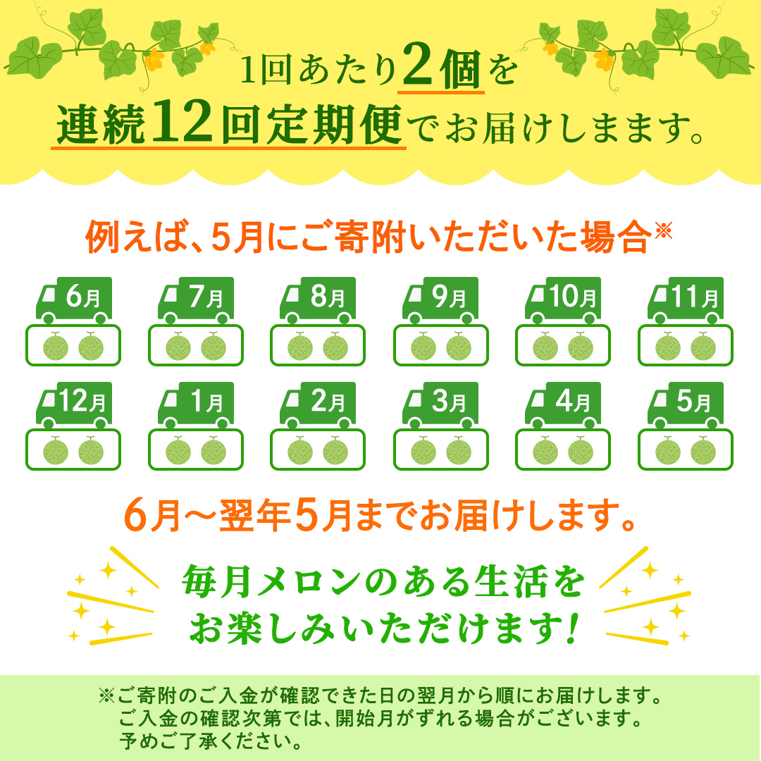 【定期便】 アールスメロン 2玉 × 12か月連続 メロン ギフト 高糖度 甘い 美味しい フルーツ 誕生日 プレゼント ギフト 贈り物 父の日 母の日 2個 [FC50-NT]