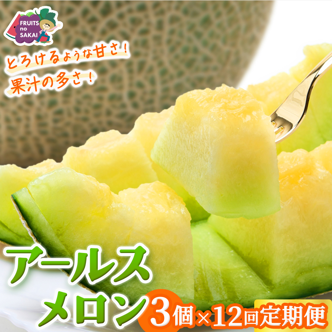 【定期便】 アールスメロン 3玉 × 12か月連続 メロン ギフト 高糖度 甘い 美味しい フルーツ 誕生日 プレゼント ギフト 贈り物 父の日 母の日 3個 [FC53-NT]