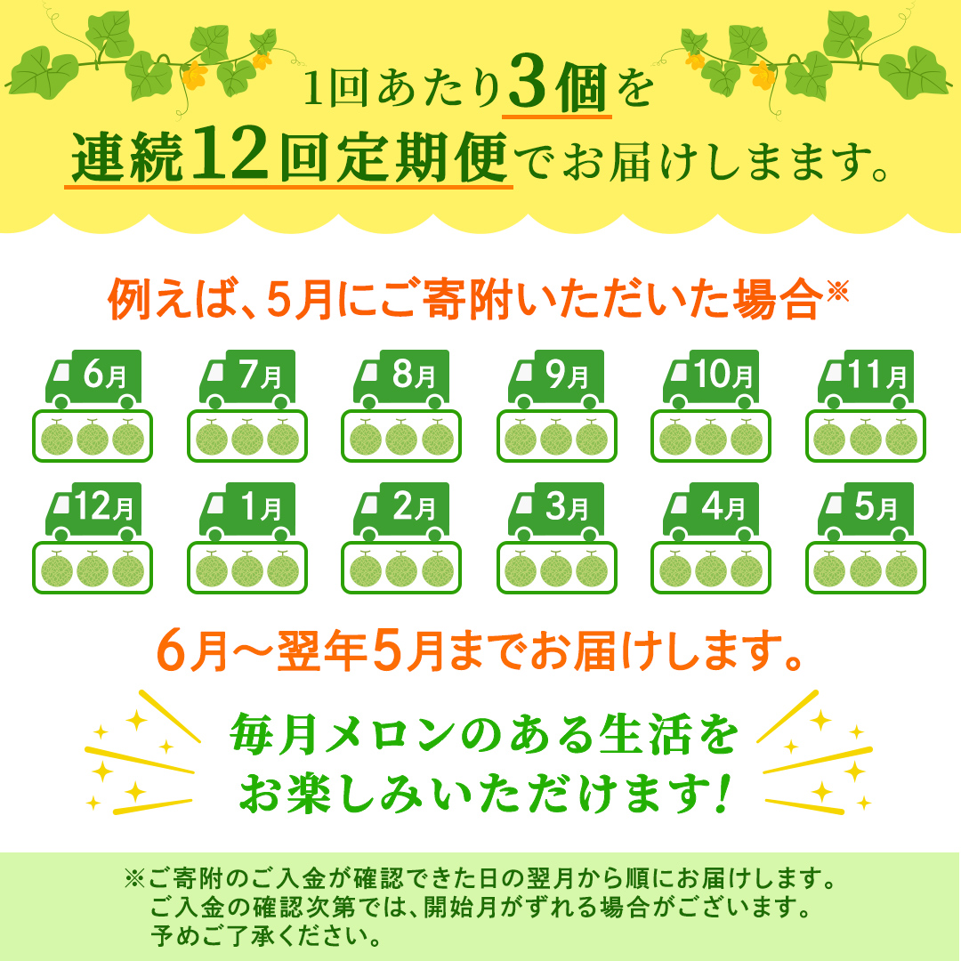 【定期便】 アールスメロン 3玉 × 12か月連続 メロン ギフト 高糖度 甘い 美味しい フルーツ 誕生日 プレゼント ギフト 贈り物 父の日 母の日 3個 [FC53-NT]