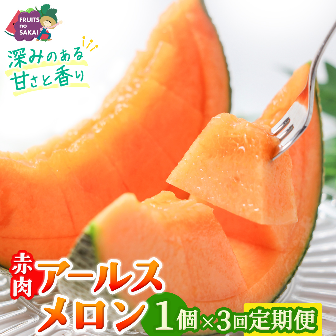 【定期便】 赤肉アールスメロン 1玉 × 3か月連続 アールスメロン 赤肉 高糖度 甘い フルーツ 誕生日 プレゼント ギフト 贈り物 父の日 母の日 1個 [FC36-NT]