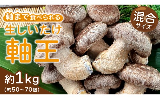 産地直送！軸まで美味しい『軸王しいたけ』サイズ混合 約1kg (約50～70個) しいたけ 椎茸 シイタケ きのこ キノコ 野菜 軸が太い 軸まで食べられる 特大 肉厚 旨味 菌床 国産 ぷりぷり ステーキ 椎茸ステーキ 新鮮 BBQ バーベキュー バター焼き 網焼き きんぴら オイル漬け [FL04-NT]