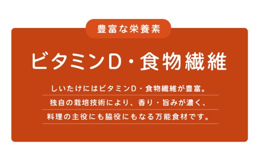 産地直送！軸まで美味しい『軸王しいたけ』サイズ混合 約500g (約24～32個) しいたけ 椎茸 シイタケ きのこ キノコ 野菜 軸が太い 軸まで食べられる 特大 肉厚 旨味 菌床 国産 ぷりぷり ステーキ 椎茸ステーキ 新鮮 BBQ バーベキュー バター焼き 網焼き きんぴら オイル漬け [FL03-NT]