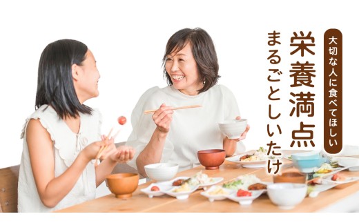 産地直送！軸まで美味しい『軸王しいたけ』サイズ混合 約500g (約24～32個) しいたけ 椎茸 シイタケ きのこ キノコ 野菜 軸が太い 軸まで食べられる 特大 肉厚 旨味 菌床 国産 ぷりぷり ステーキ 椎茸ステーキ 新鮮 BBQ バーベキュー バター焼き 網焼き きんぴら オイル漬け [FL03-NT]